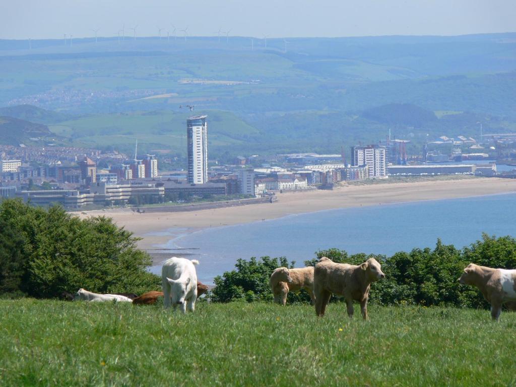 Clyne Farm Centre Villa The Mumbles Eksteriør bilde