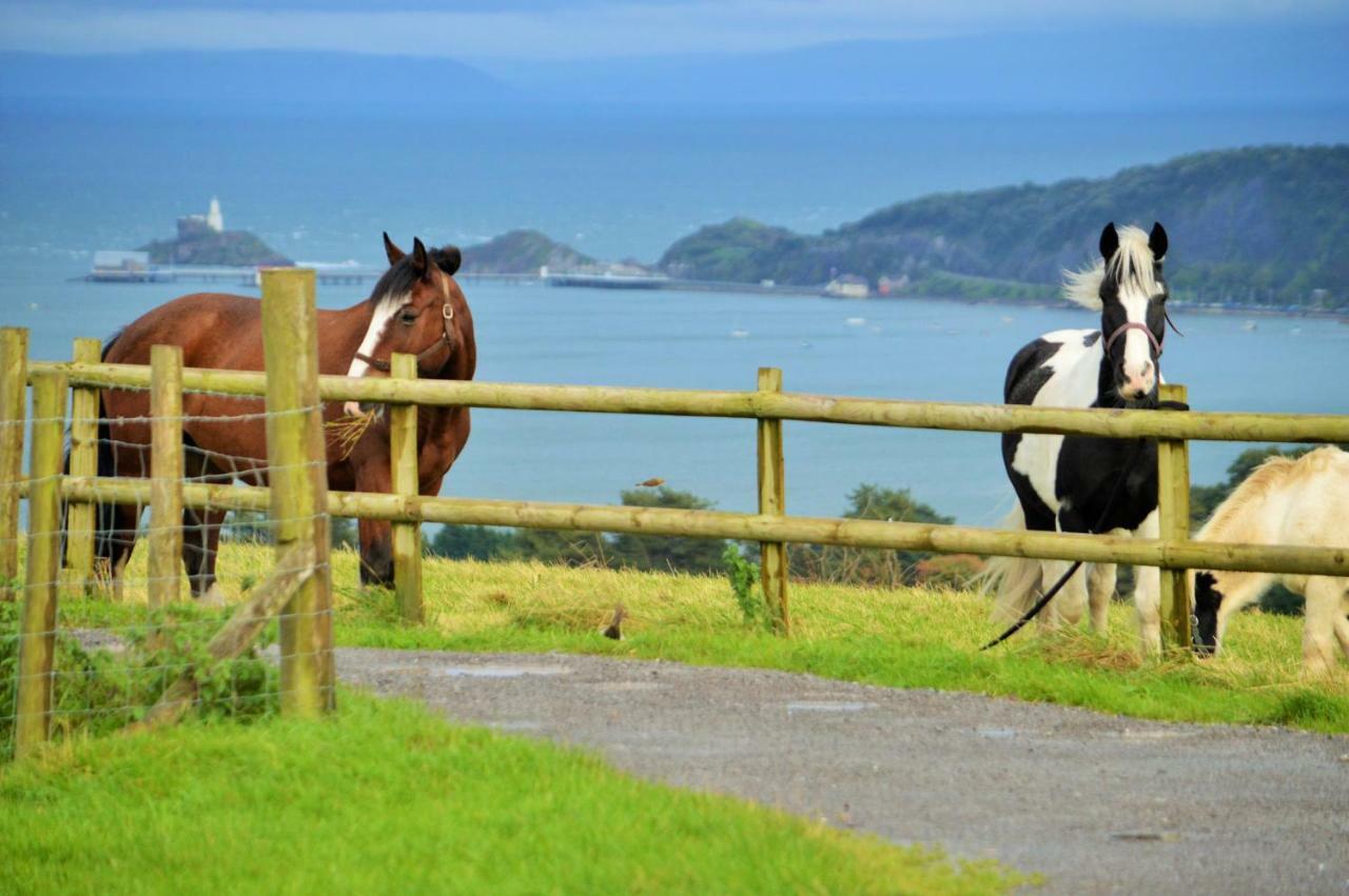 Clyne Farm Centre Villa The Mumbles Eksteriør bilde